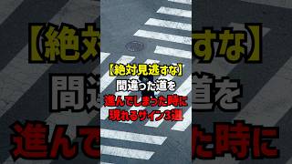 【絶対見逃すな】間違った道を進んでしまった時に現れるサイン3選  #スピリチュアル #前世 #守護霊