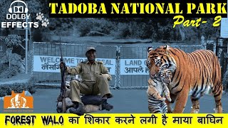 Tadoba National Park Part -2 Jungle Entry, Best Hotel For Visitors,Place For Visit ,Boating Gardens