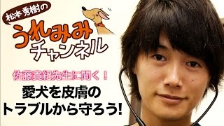 【人気獣医師】愛犬を皮膚トラブルから守る！！【佐藤先生】