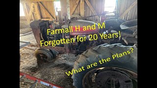 Forgotten Farmall H and M Tractors. Sitting for 20 years.