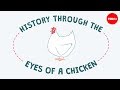 History through the eyes of a chicken - Chris A. Kniesly