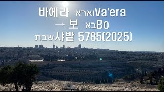 [샤밭][토라포션] 바에라 וארא  → 보 בא Bo, 5785(2025) _ 마지막 시대의 지식, 지혜, 그리고 하나님의 뜻