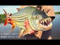 পৃথিবীর সবচেয়ে বিপজ্জনক ভয়াবহ ৫ টি মাছ the 5 most dangerous fish in the world