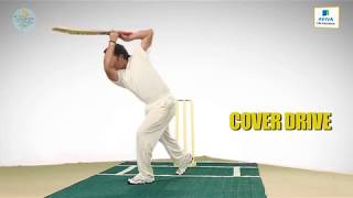 AVIVA TUTORIAL - COVER DRIVE