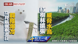 【1227 十點不一樣LIVE】12月最強寒流日韓陸爆冷   紅樹林擴張威脅水鳥