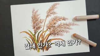 오일파스텔로 갈대 그리는 방법 배워보세요.