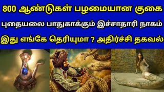 800 ஆண்டு பழமையான குகை ! புதையலை பாதுகாக்கும் இச்சாதாரி நாகம் ! எங்கே இருக்கிறது தெரியுமா ?