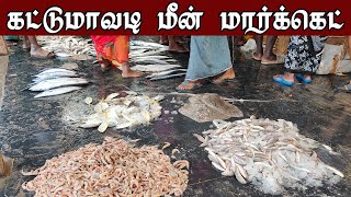 மீன் ஏலம் கட்டுமாவடி மீன் மார்க்கெட் || Kattumavadi Meen Market