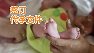 办理代孕时如何签订法律文件/Sign surrogacy documents