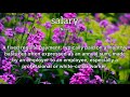 salary meaning definition of salary