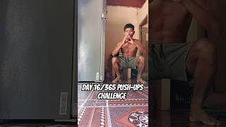 DAY 16 /365 Pull-Ups CHALLENGE #motivation #pushupfitness #fitness #aesthetic #fitnessmotivation