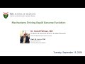 Genetics Seminar Series 2020 - David Pellman, MD