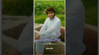 ہووے شوق جے سجن بلپیاں دا بھارے سائے جئے چاونڑے پمدن |New poet by Qamar jani l jani poetry