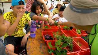 頭城農場食驗小學堂第四梯次第一天