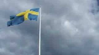 Swedish midsummer festival