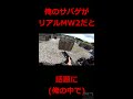 俺のサバゲーがリアルmw2だと話題に shorts