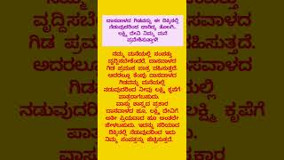 ಮನೆಯ ಈ ದಿಕ್ಕಿನಲ್ಲಿ ದಾಸವಾಳದ ಗಿಡ ನೆಟ್ಟರೆ ದಾರಿದ್ರ್ಯ ತೊಲಗಿ ಲಕ್ಷ್ಮಿದೇವಿ ನಿಮ್ಮ ಮನೆ ನಿಮ್ಮ ಮನೆಗೆ ಬರುತ್ತಾಳೆ