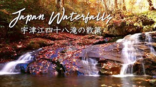 紅葉の飛騨高山 飛騨国府 宇津江四十八滝の散策 Utsue 48 Waterfalls Hida Takayama Kokufu(Gifu,Japan)