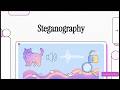 Steganography: The art of hiding information inside another file