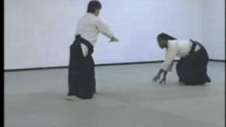 Advanced Aikido Techniques Part 2