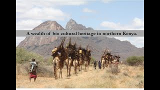 KIVULINI TRUST SUPPORTING BIO CULTURAL HERITAGE OF NORTHERN KENYA