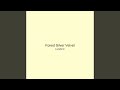 Forest Silver Velvet