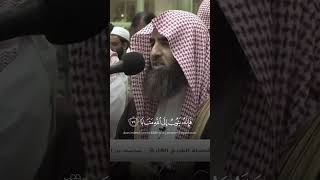 وكان الله غفورا رحيما | محمد اللحيدان #قرآن #قرآن_كريم #القرآن_الكريم #quran #محمد_اللحيدان