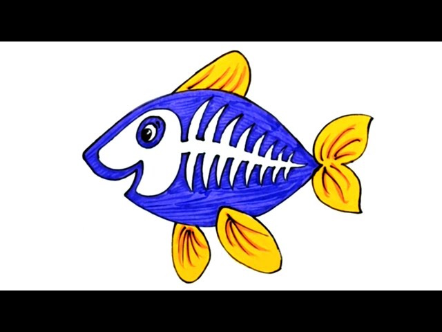 X Ray Fish Drawing