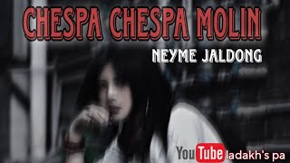 nyeme jaldong _ chespa chespa molin _ ladakhi song _ old song