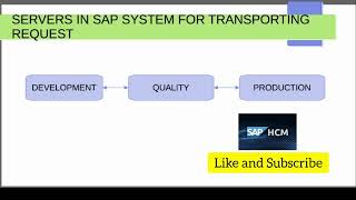 Servers in SAP system #sap #saphcm #implementation #configuration #learnsap