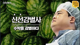 [100%도전 성공쇼핑] 신선 감별사 김준현이 알려주는 수박 고르는 꿀팁!