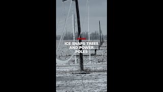 Ice snaps trees and power poles