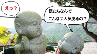 【お地蔵様を超解説①】なんでこんなに人気があるの？