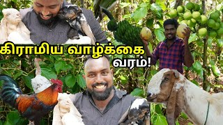 யாழ்ப்பாண கிராமிய வாழ்க்கை எப்படி இருக்கும்? பட்டதாரி நண்பனின் வீட்டுத்தோட்டம் Jaffna Village Life