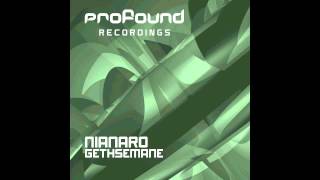 Nianaro - Gethsemane (Original Mix) [Profound Recordings]