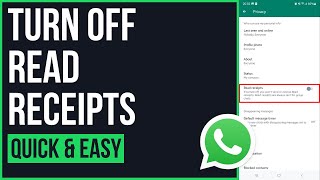 How To Turn Off Read Receipts On WhatsApp (2023)