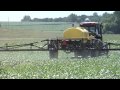 Farm Basics-Spider Mites (From Ag PhD #591 8/2/09)