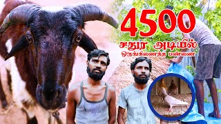 4500 சதுர அடியில் ஒருங்கிணைத்த பண்ணை | கொம்பன் மீடியா