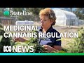 Concerns over quality and potency of imported cannabis products grows | ABC News