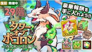 【ポコダン】【波可龍迷宮】タワポコヴァナヘイム編攻略 29階