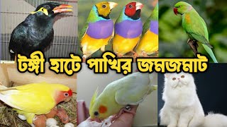 টঙ্গী হাটে পার্শিয়ান বিড়াল সহ পাখির জমজমাট || টঙ্গী পাখির হাট || #birdslover™ #birds #abmobin #viral