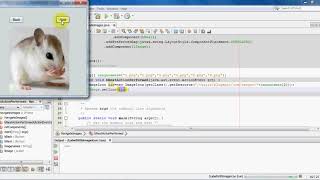Java Swing Tutorial 05 JLabel with ImageIcon