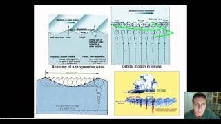 Ocean Waves (Part 1): Wave Structure & Formation