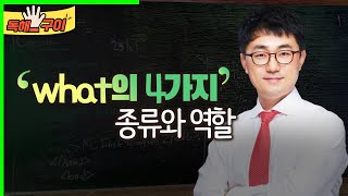 what의 4가지 종류와 역할 (0116)