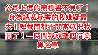 公司上億的競標書不見了！身為總裁秘書的我嫌疑最大！總裁問都不問當眾把我開了！一時間我成整個行業黑名單