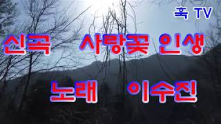 2019년 신곡  사랑꽃인생  가수이수진