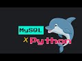 Create a MySQL Database Using Python | 2MinutePy