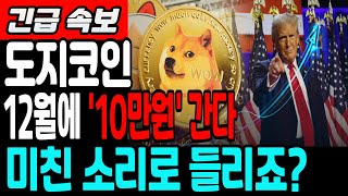 [도지코인 전망]12월에 10만원 간다 미친 소리로 들리죠?