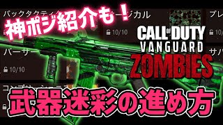 【CoD:Vanguard ゾンビ】ソロで簡単！ 爆速で終わる迷彩解除方法と、神ポジ紹介＆見つけ方！ How to Unlock CAMO