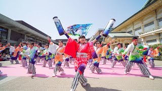 [4K] 夢源風人　京都さくらよさこい 2018 ロームシアター